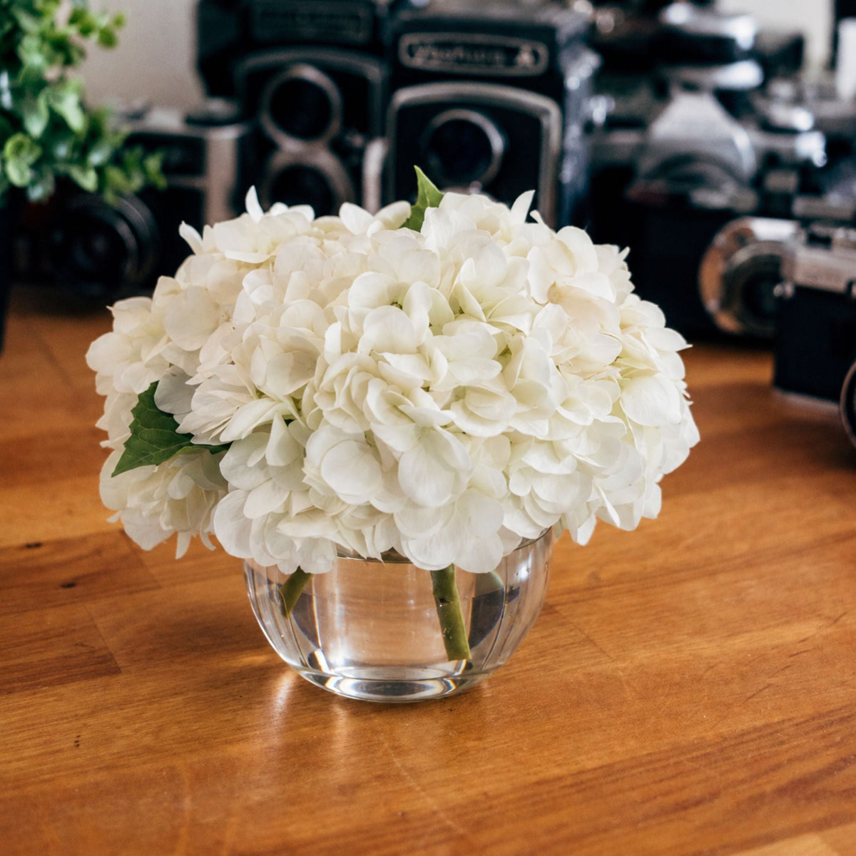 L'Art d'Offrir | The Gifting Edit