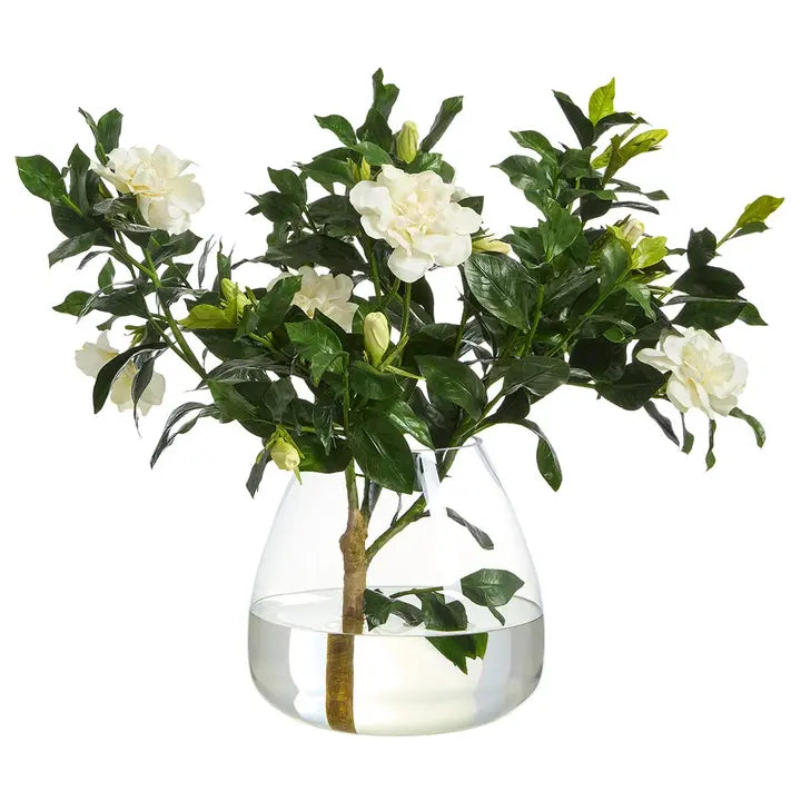 Front product view of The Sylvie Gardenia Arrangement with white blooms and glossy foliage in a rounded clear-glass vase.