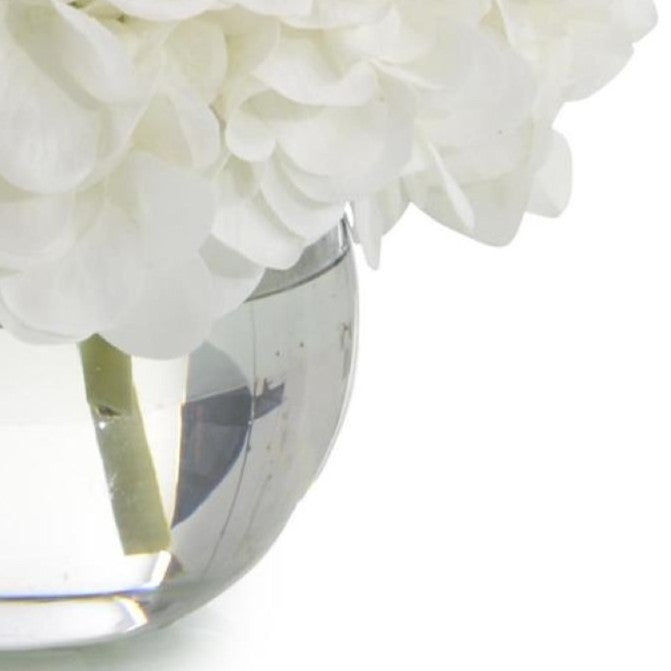 The Anaëlle Hydrangea Arrangement | White Annabelle Hydrangeas in Glass