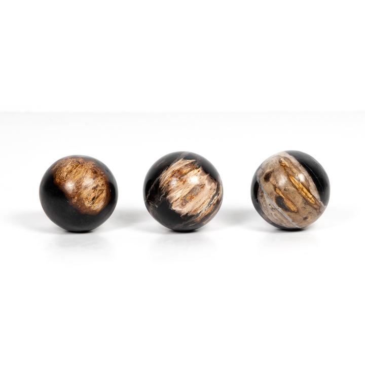 Close view of a Palu petrified wood sphere showing irregular mineralized bands and tonal contrast.