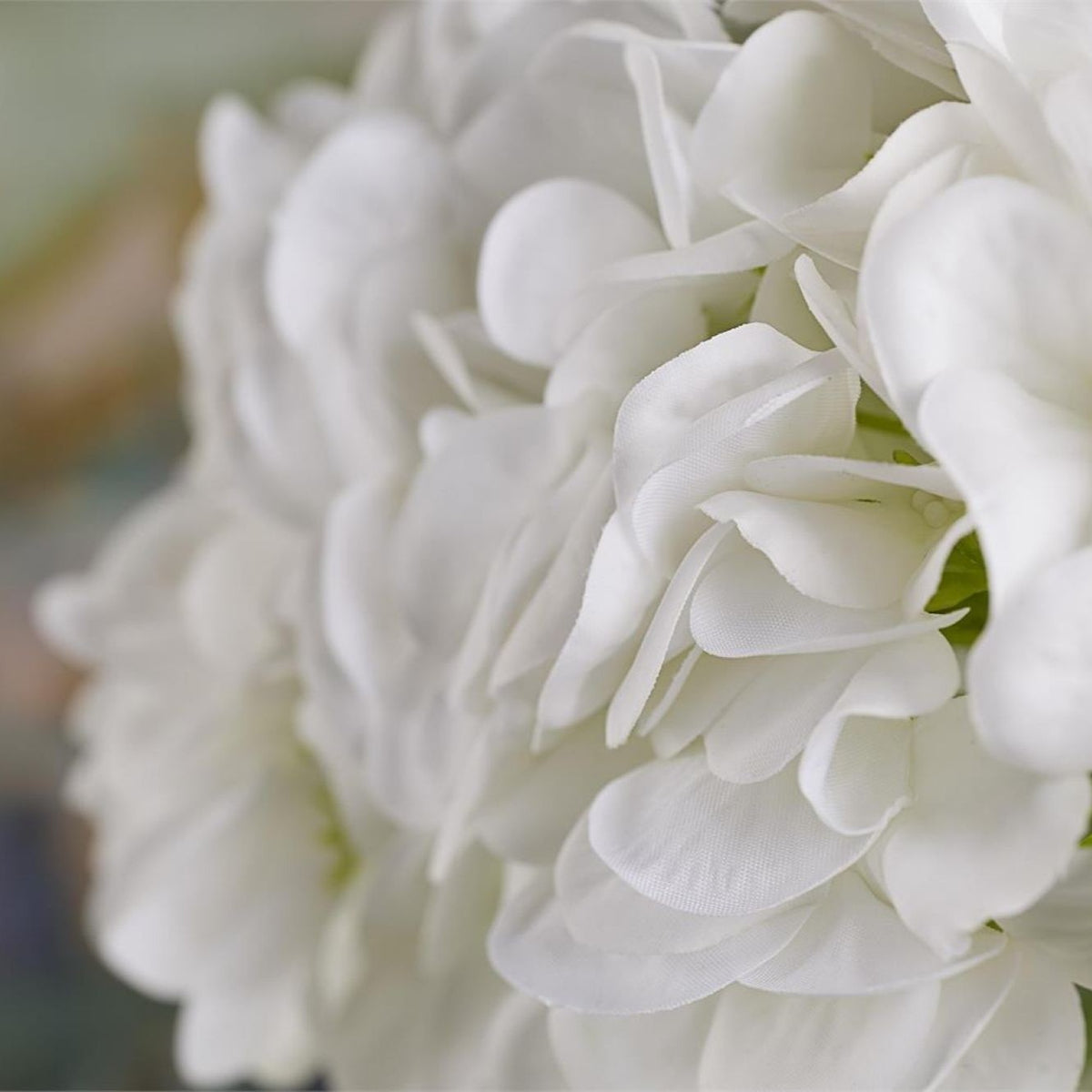 The Anaëlle Hydrangea Arrangement | White Annabelle Hydrangeas in Glass