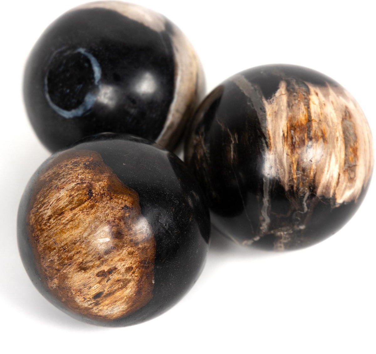 Variation view of the Palu Petrified Wood Sphere Set showing a different mix of dark and light natural markings.