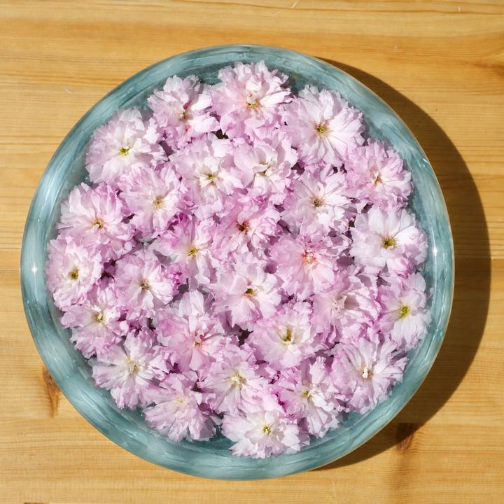 Overhead view of The Marine Glass Bowl styled with floating pale-pink blossoms.