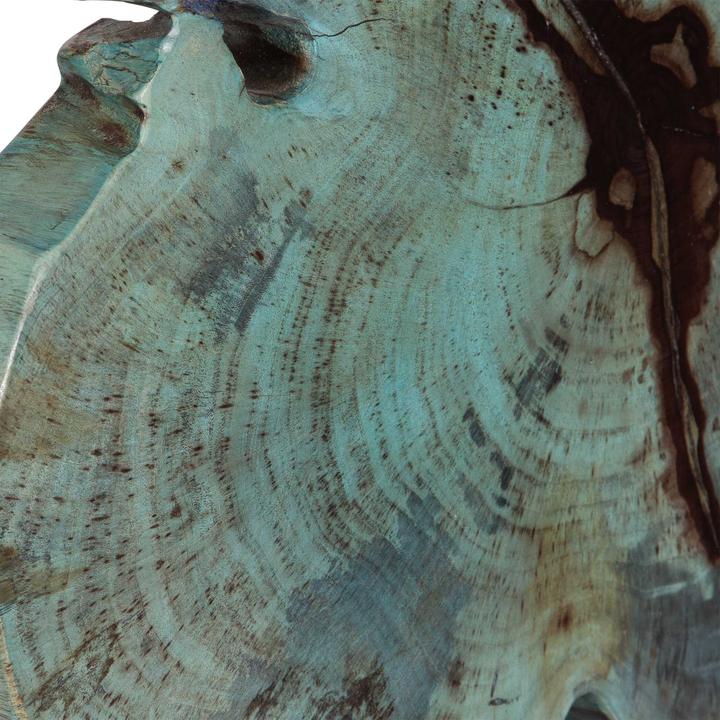 Close detail of the blue-green tamarind surface showing visible growth rings, dark fissures, and tonal variation.