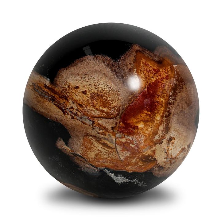 Additional Palu petrified wood sphere detail showing one-of-a-kind surface pattern and color variation.