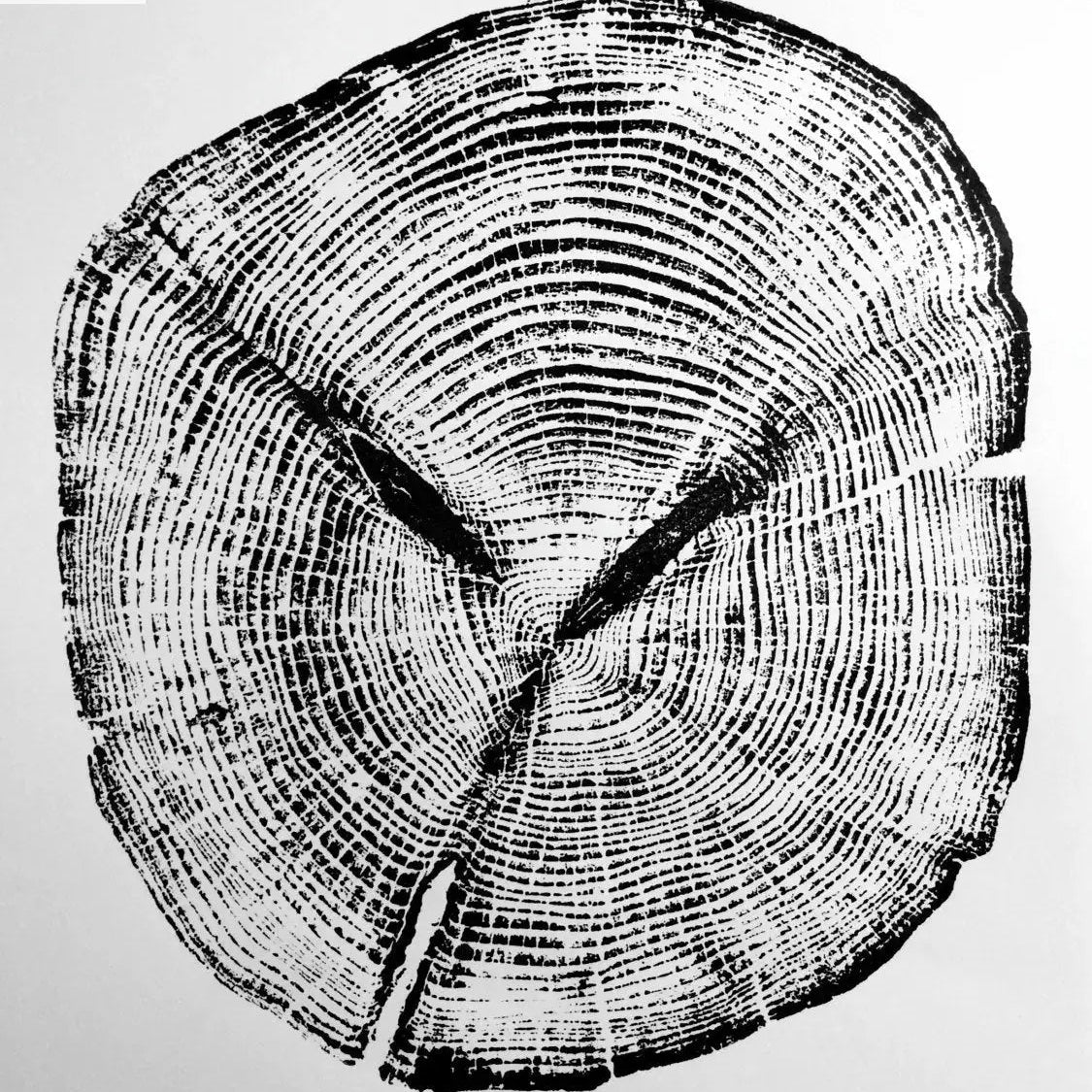 The Romane Wall Art Trio — Cedar, Mulberry & Pine Ring Prints — custom set three alaska colorado