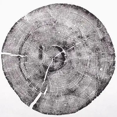 The Romane Wall Art Trio — Cedar, Mulberry & Pine Ring Prints — custom set three alaska colorado