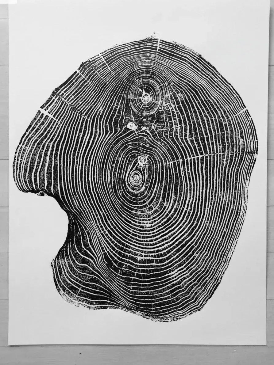 The Romane Wall Art Trio — Cedar, Mulberry & Pine Ring Prints — custom set three alaska colorado