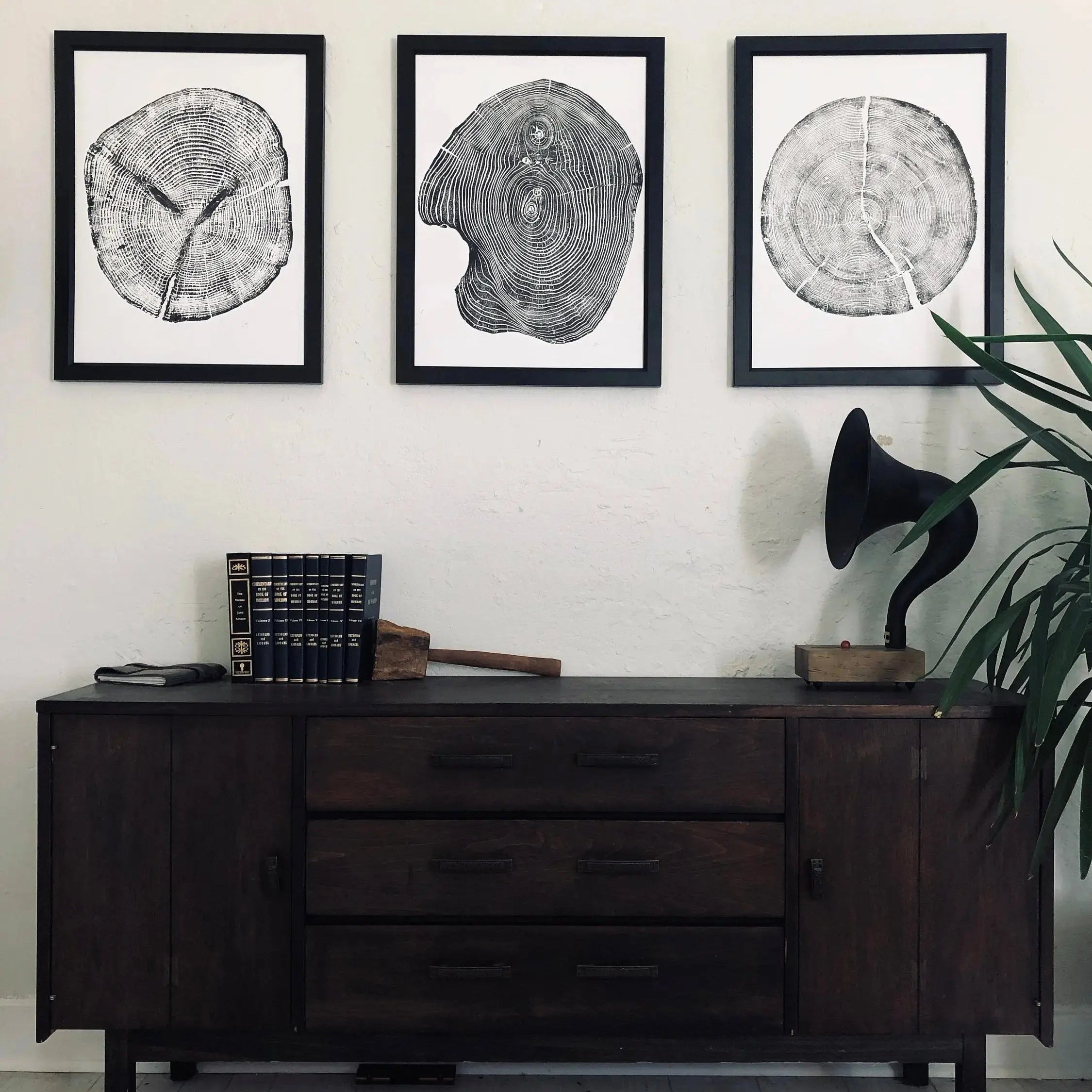 The Romane Wall Art Trio — Cedar, Mulberry & Pine Ring Prints — custom set three alaska colorado