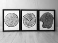 The Romane Wall Art Trio — Cedar, Mulberry & Pine Ring Prints — product view