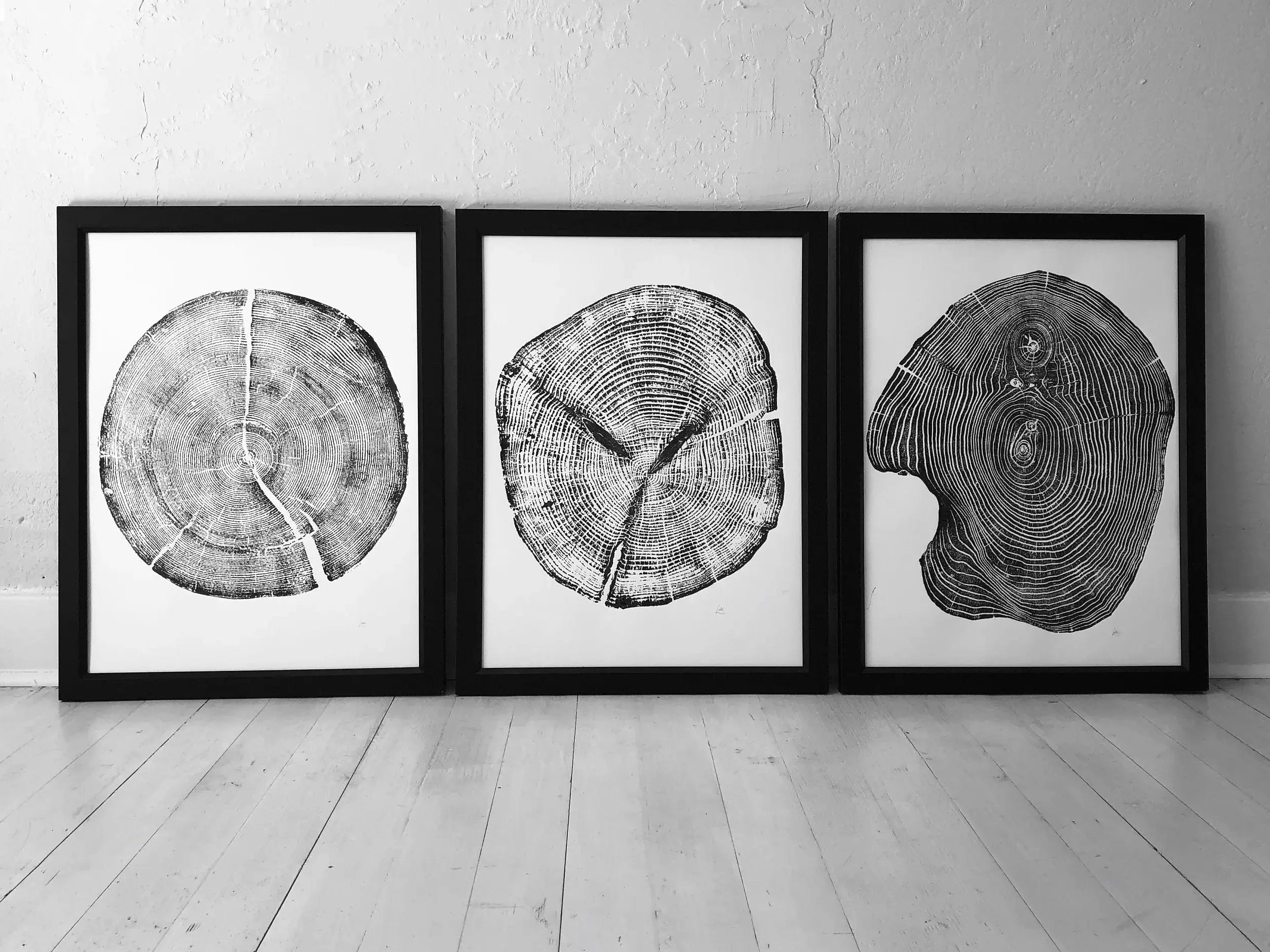 The Romane Wall Art Trio — Cedar, Mulberry & Pine Ring Prints — product view