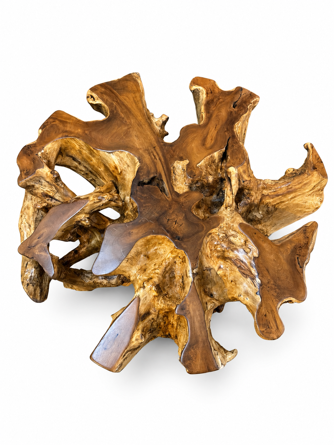 The Nusa Dining Table | Sculptural Teak Root