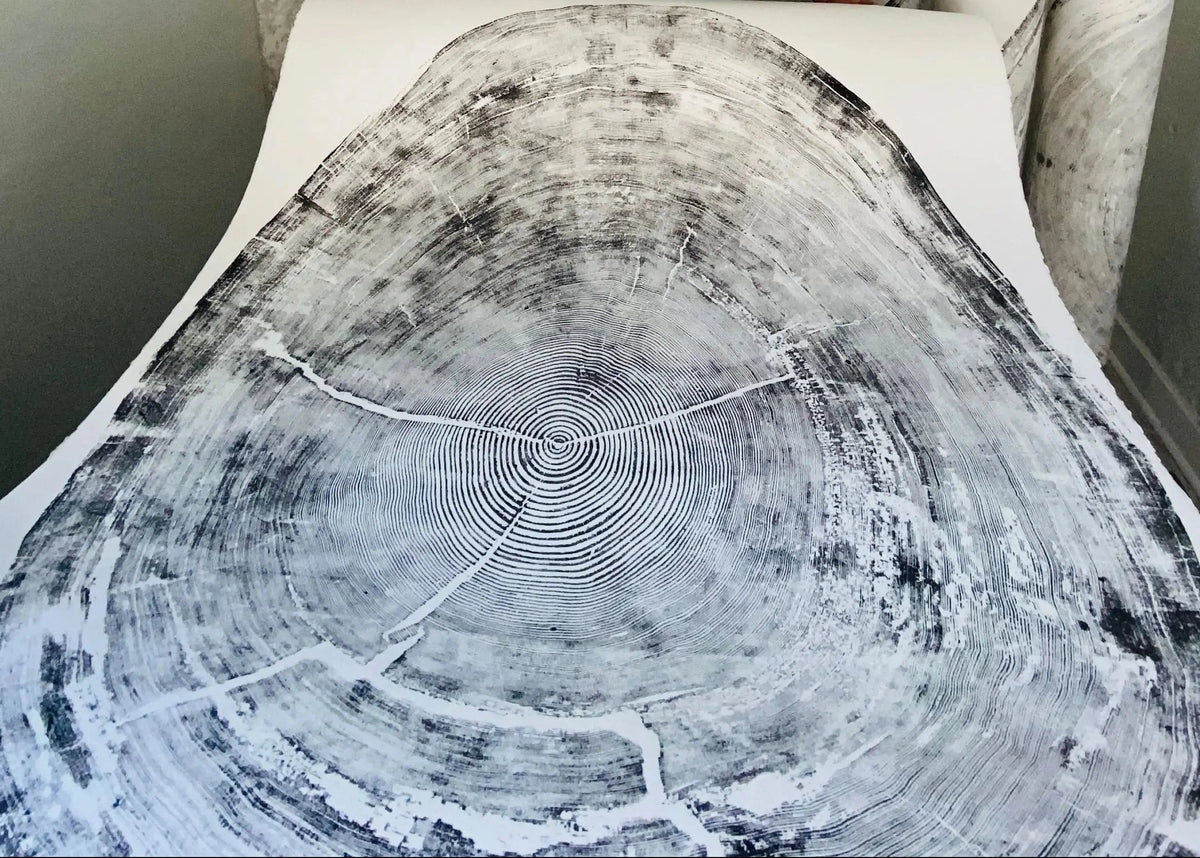 The Auréline Wall Art — 372-Year Sitka Spruce Ring Print — full sitka spruce inches lintonart