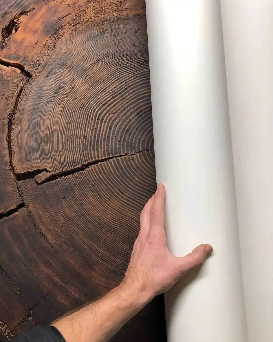 The Auréline Wall Art — 372-Year Sitka Spruce Ring Print — full sitka spruce inches lintonart