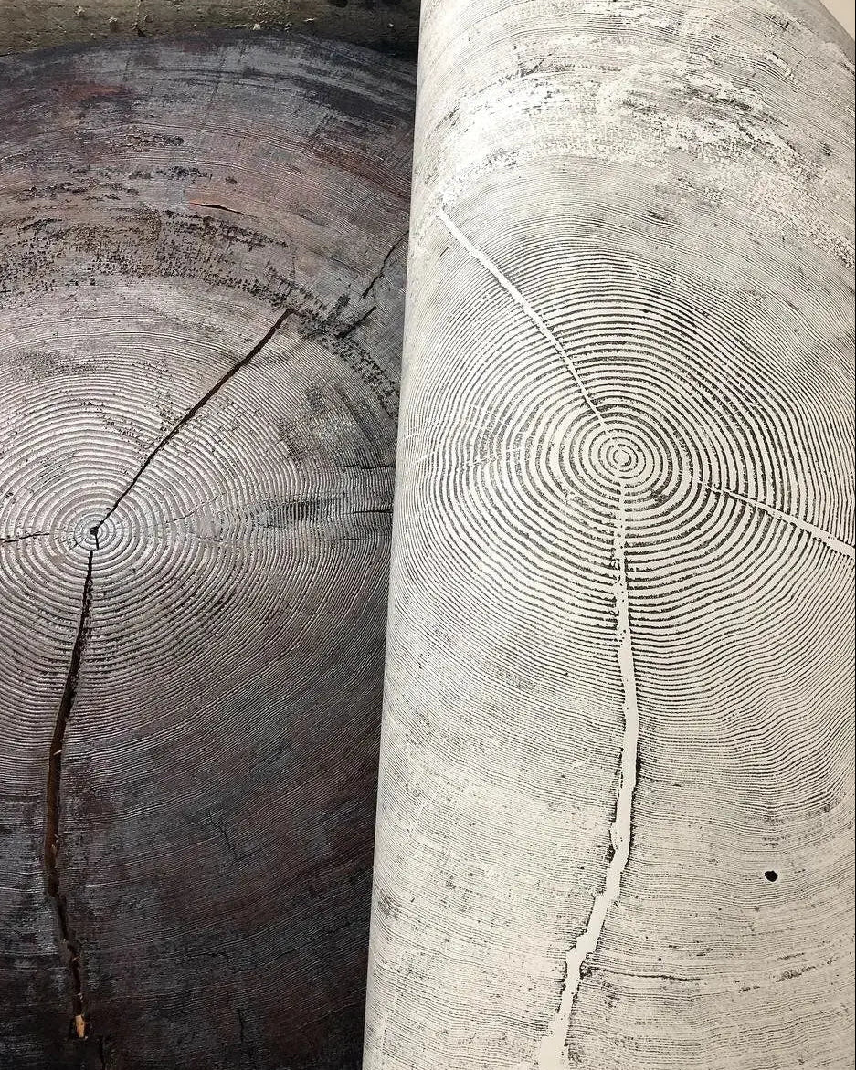 The Auréline Wall Art — 372-Year Sitka Spruce Ring Print — full sitka spruce inches lintonart