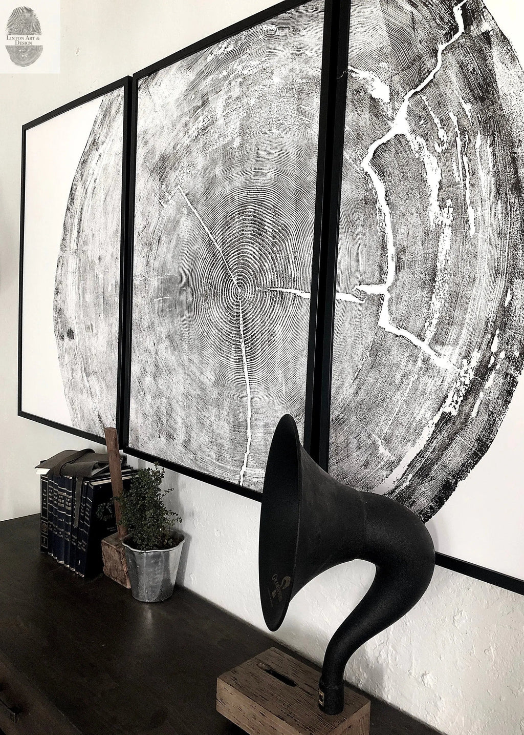 The Sylvestre Woodcut Triptych | 372-Year Sitka Spruce