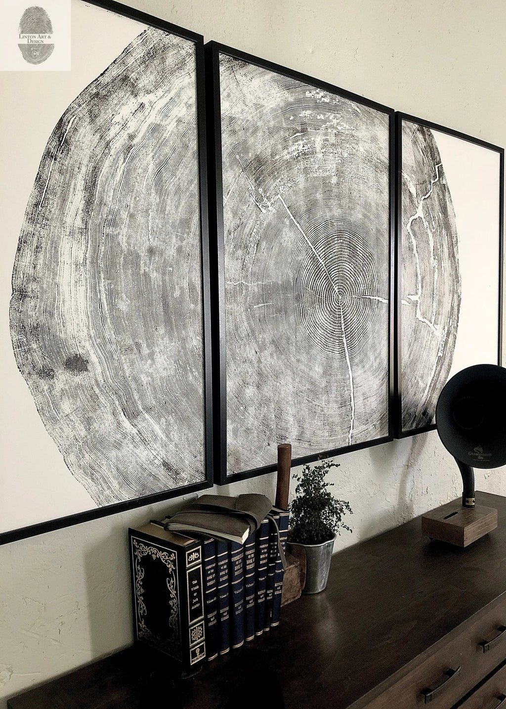 The Sylvestre Woodcut Triptych | 372-Year Sitka Spruce