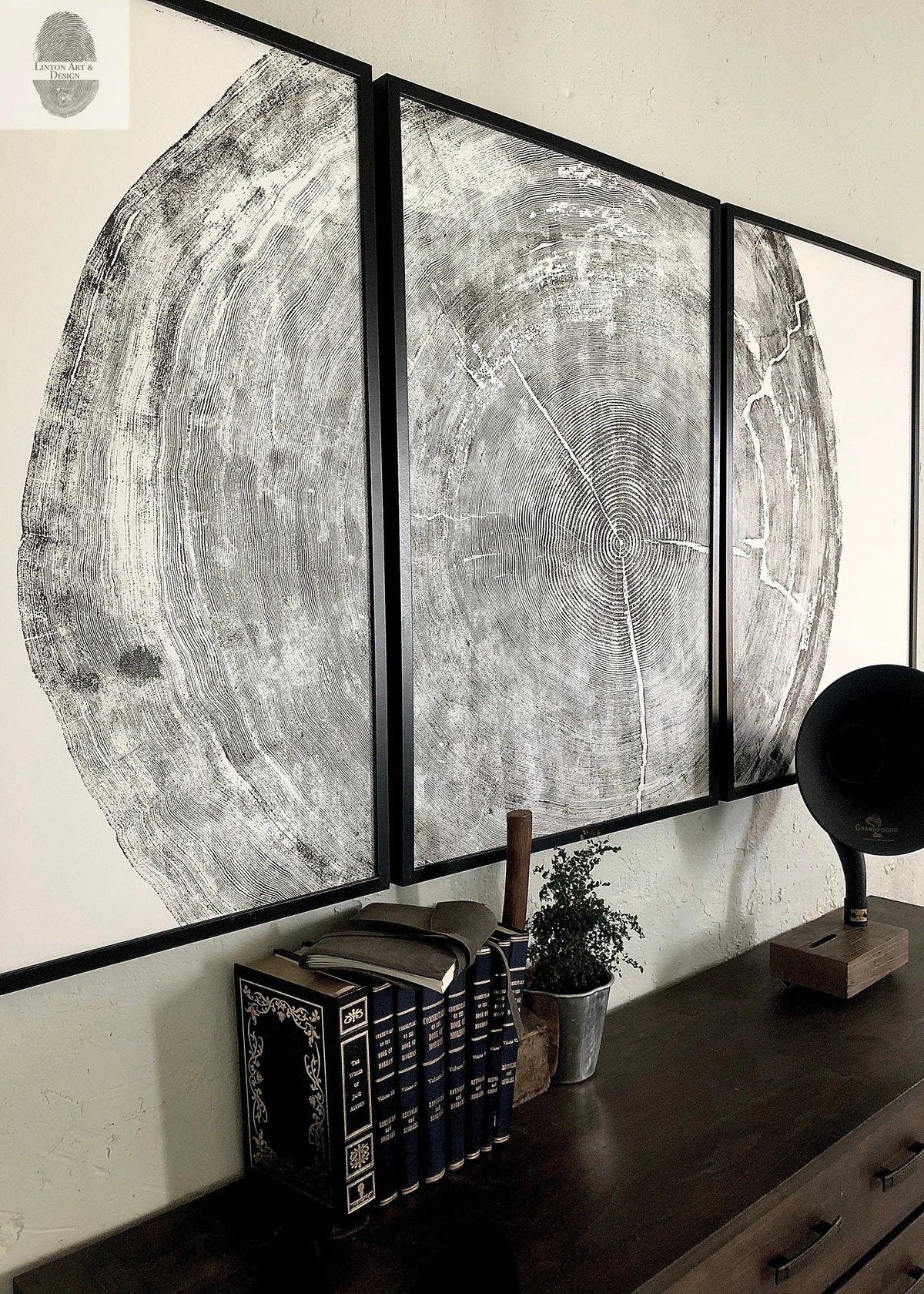 The Sylvestre Woodcut Triptych | 372-Year Sitka Spruce