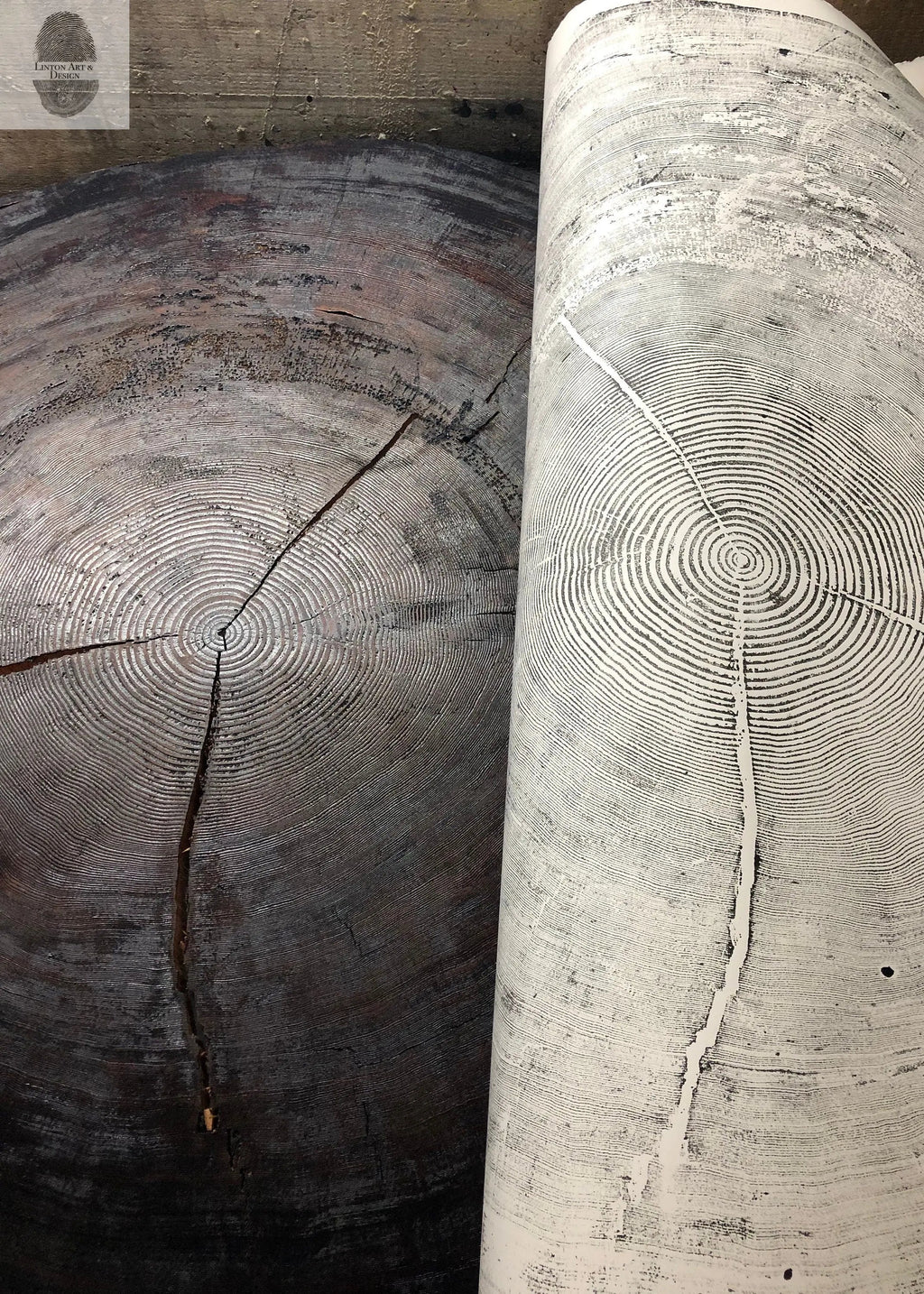 The Sylvestre Woodcut Triptych | 372-Year Sitka Spruce