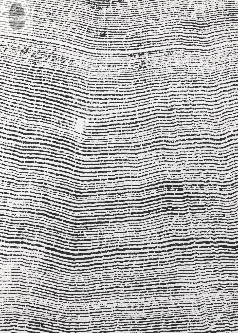 The Sylvestre Woodcut Triptych | 372-Year Sitka Spruce