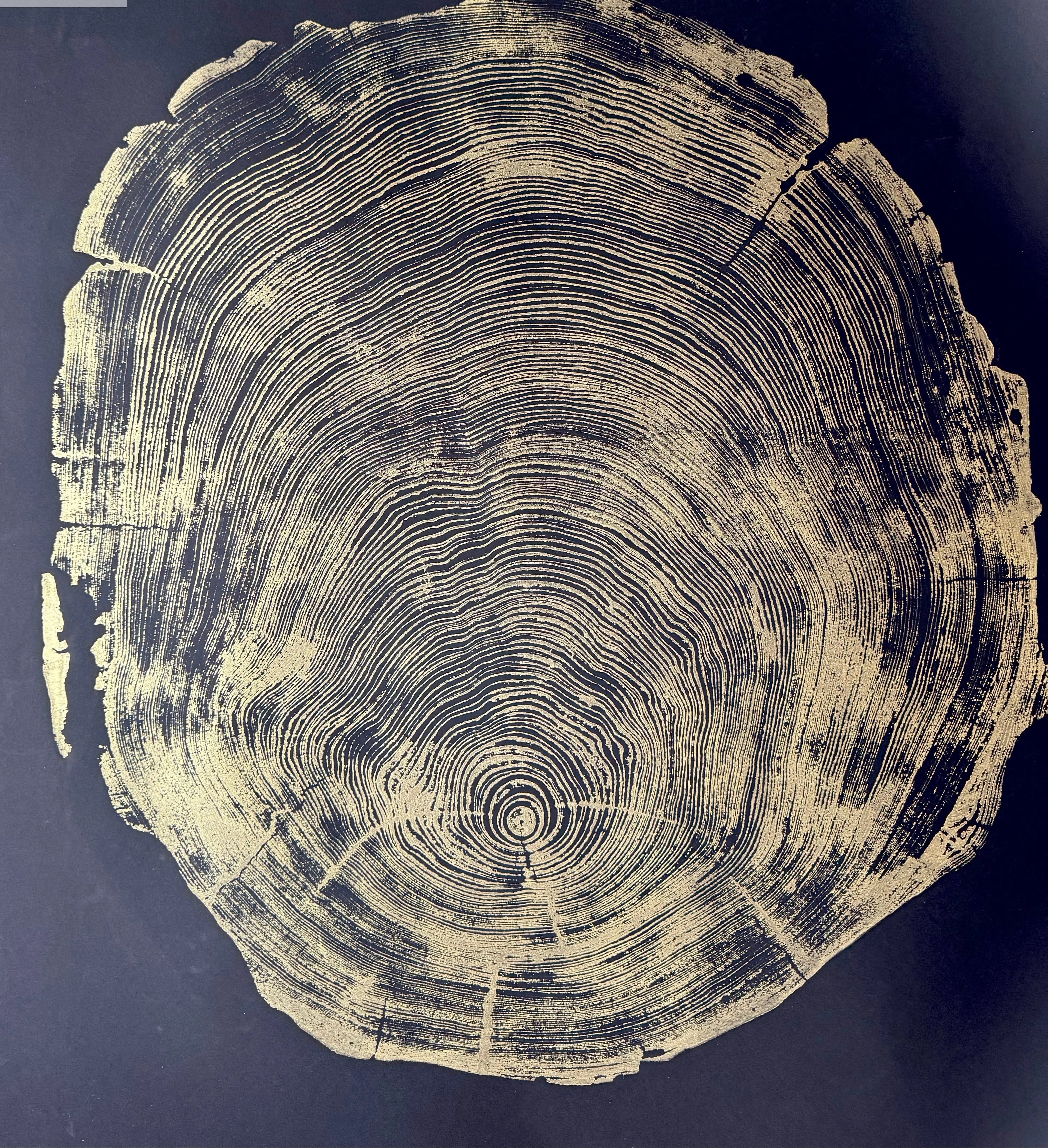 The Noire Wall Art — Gold Ink Redwood Ring Print — product view