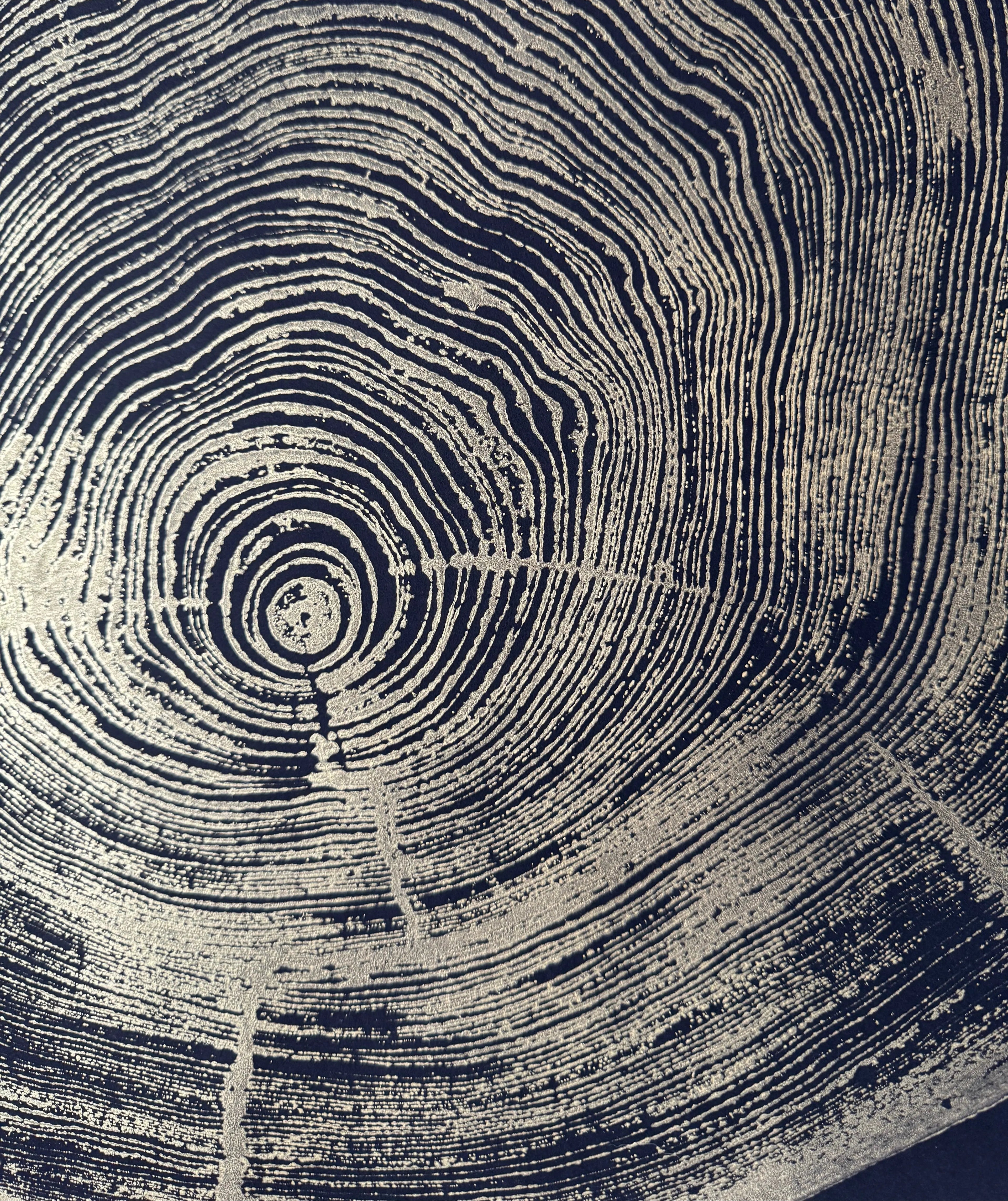The Noire Wall Art — Gold Ink Redwood Ring Print — san francisco redwood gold black