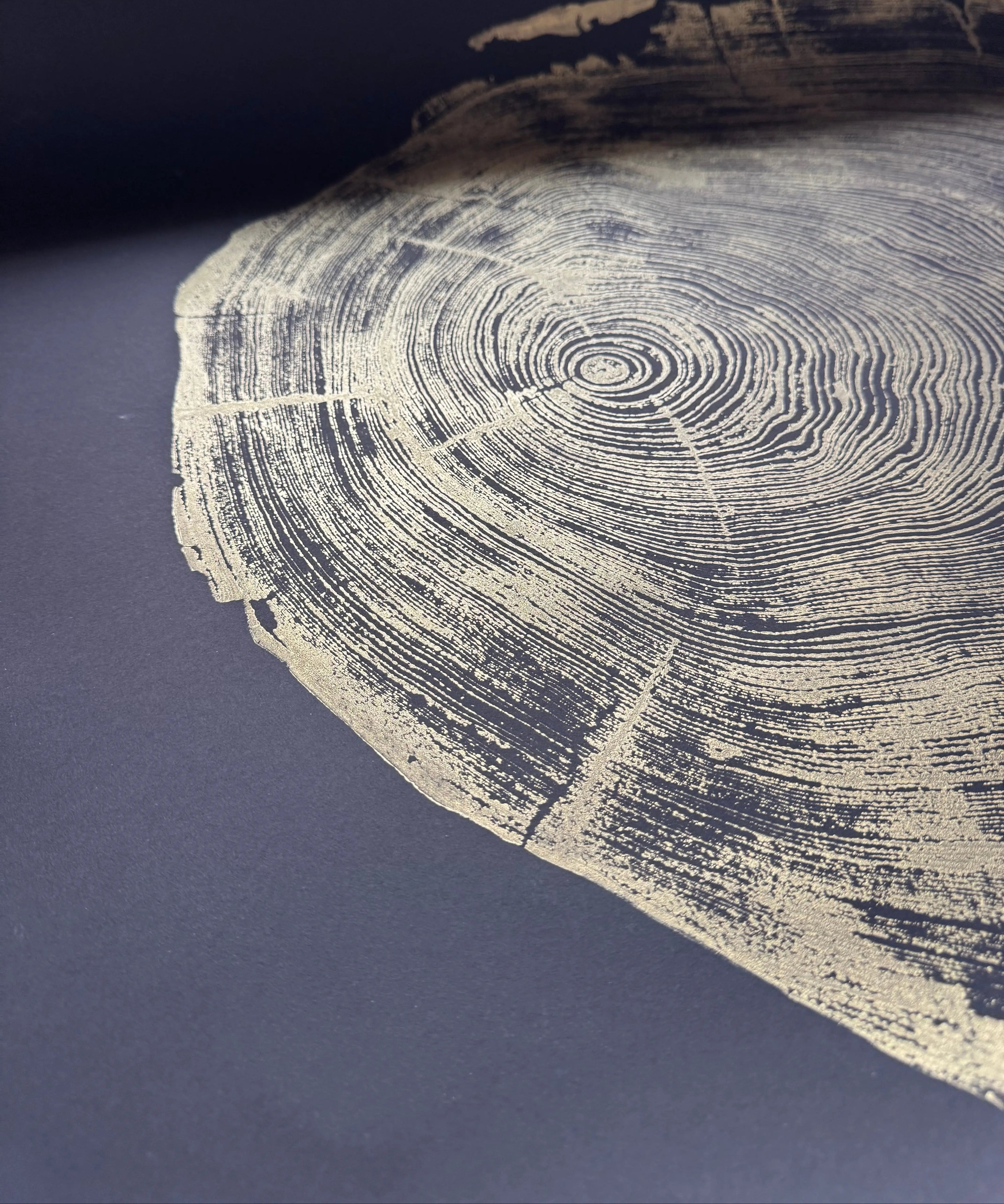 The Noire Wall Art — Gold Ink Redwood Ring Print — san francisco redwood gold black