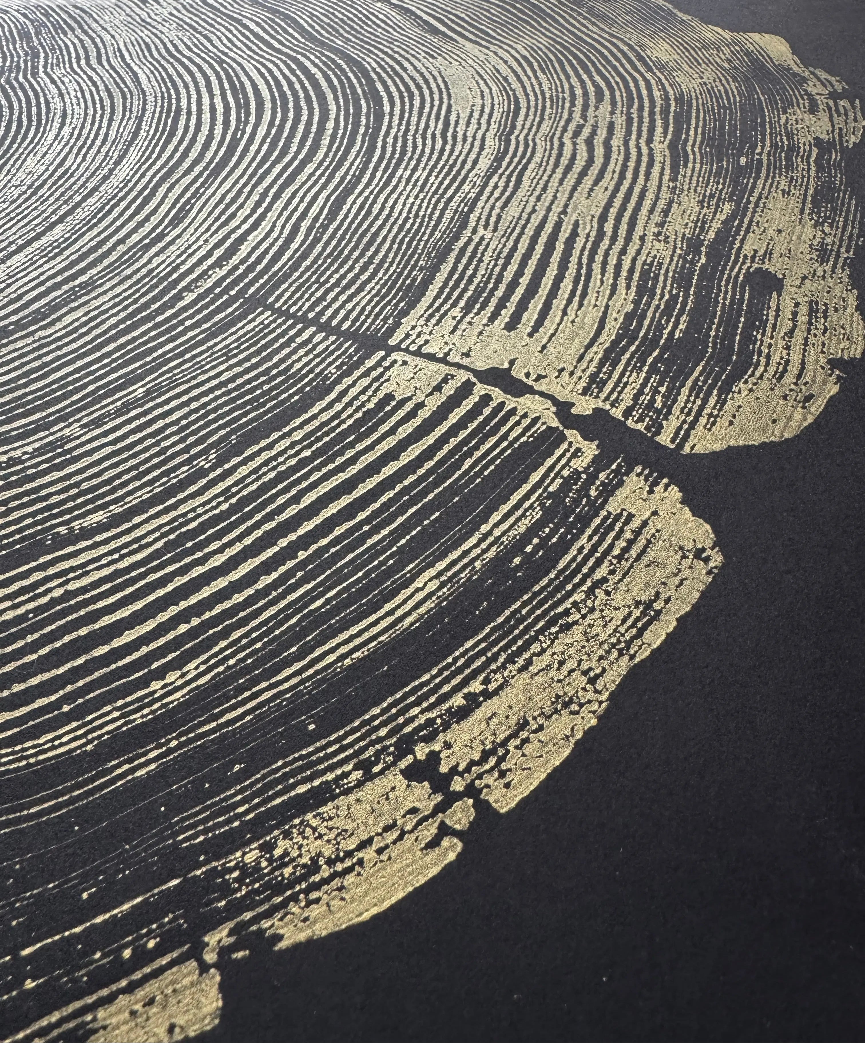 The Noire Wall Art — Gold Ink Redwood Ring Print — san francisco redwood gold black